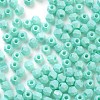 Baking Paint Glass Seed Beads SEED-A032-02C-3
