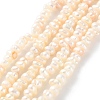 Natural Cultured Freshwater Pearl Beads Strands PEAR-I007-02K-01A-2