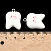 Opaque Resin Pendants RESI-K203-16-4