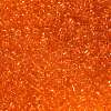 FGB 8/0 Grade A Round Glass Seed Beads SEED-Q006-3mm-F06-3