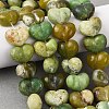 Natural Serpentine Beads G-D098-B06-1