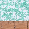 MIYUKI Delica Beads SEED-X0054-DB0627-4