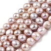 Natural Cultured Freshwater Pearl Beads Strands PEAR-I007-07S-01B-2