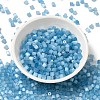 Glass Seed Beads SEED-H002-D-A811-2
