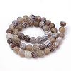 Natural Weathered Agate Beads Strands X-G-S259-05G-10mm-2