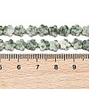 Natural Green Spot Jasper Beads Strands G-B138-C24-01-5