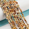 Natural Crazy Agate Beads Strands X-G-A129-3mm-17-4