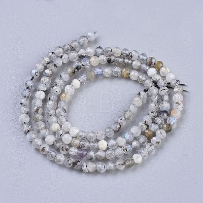 Natural Rainbow Moonstone Beads Strands X-G-R475-025B-1