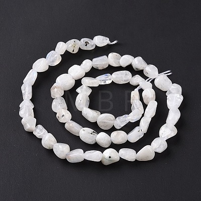 Natural Rainbow Moonstone Beads Strands G-A208-12-1