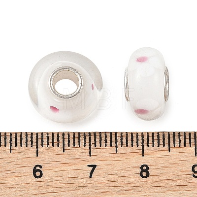 Lampwork & Brass Core European Beads LAMP-P019-01P-23-1