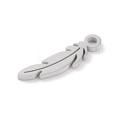 Non-Tarnish 304 Stainless Steel Charms STAS-K286-01G-P-1