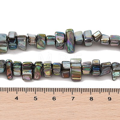 Natural Freshwater Shell Beads Strands BSHE-H018-07E-1