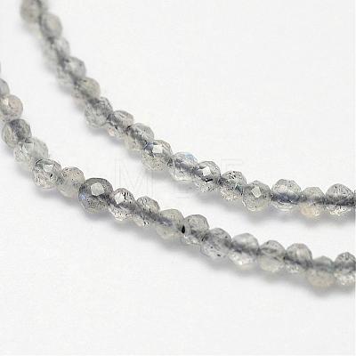 Natural Labradorite Bead Strands G-G936-2mm-18-1