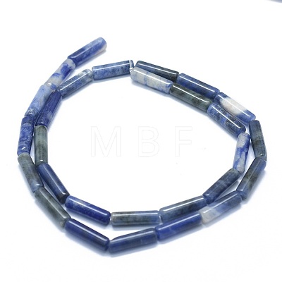 Natural Sodalite Beads Strands G-F631-D16-1