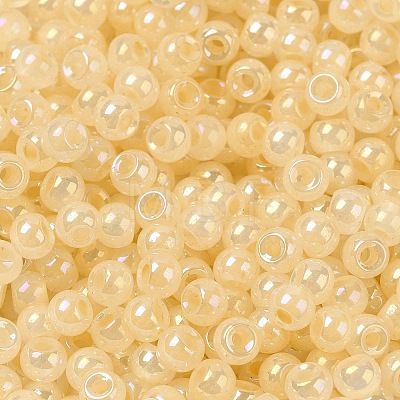 Glass Seed Beads SEED-H002-H-1308-1