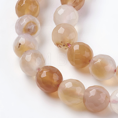 Natural Agate Beads Strands G-G580-8mm-30-1