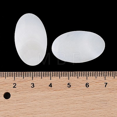 Natural Freshwater Shell Cabochons BSHE-G036-10C-1