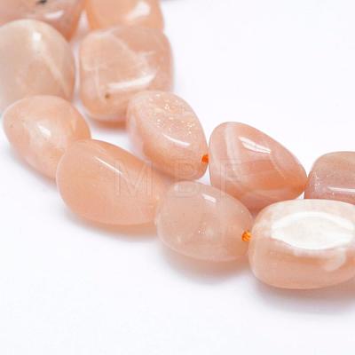 Natural Sunstone Beads Strands G-K203-11B-1