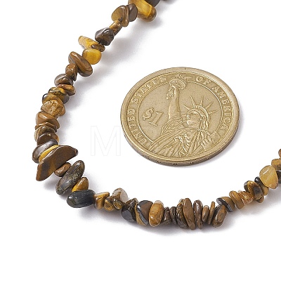 Natural Tiger Eye Chip Beaded Necklace NJEW-JN04616-08-1