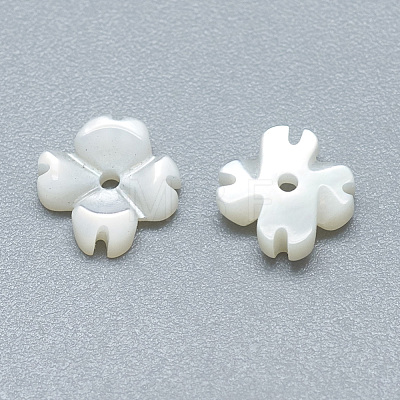 Natural White Shell Beads SSHEL-S260-015-1