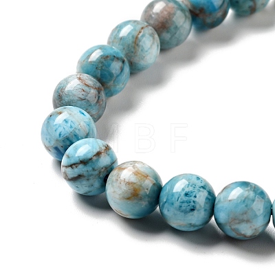 Natural Apatite Beads Strands G-G858-01B-1