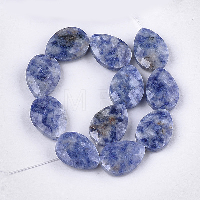 Natural Blue Spot Jasper Beads Strands X-G-S354-10-1
