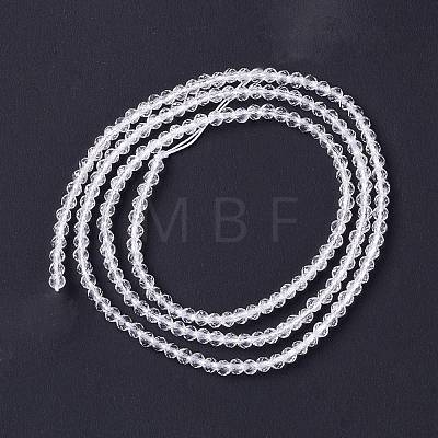 Transparent Glass Beads Strands GLAA-C019-01A-11-1