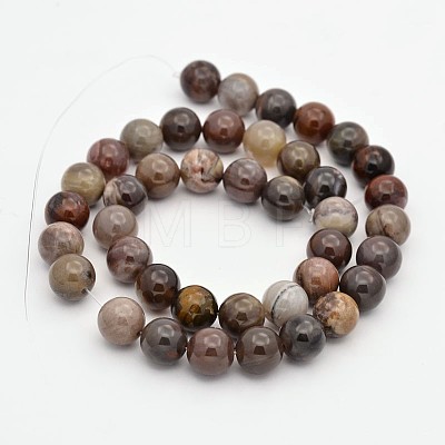 Natural Petrified Wood Round Beads Strands G-P101-01-10mm-1