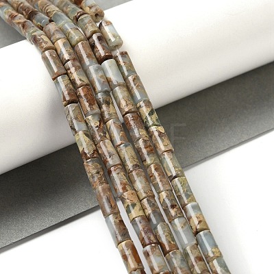 Natural Shoushan Stone Beads Strands G-Q169-A03-01-1