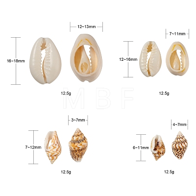 4 Style Natural Mixed Cowrie Shell Beads X-BSHE-FS0001-01-1
