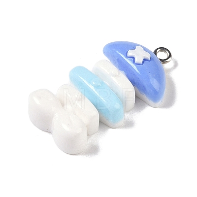 Ocean Theme Opaque Resin Pendants RESI-S403-02I-1