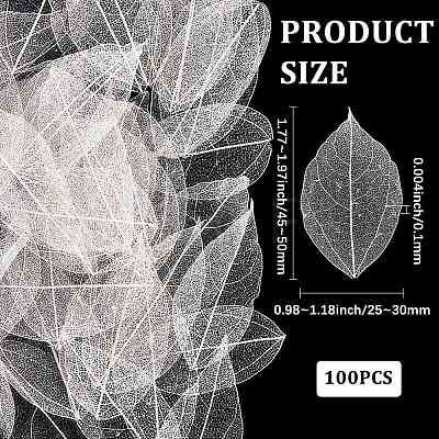 100Pcs Dried Flower Leaf Craft Supplies AJEW-CP0009-41B-1