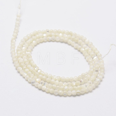 Natural White Shell Beads X-G-N0190-11-2mm-1