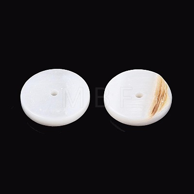 Natural Freshwater Shell Beads Strands SHEL-N037-03B-01-1