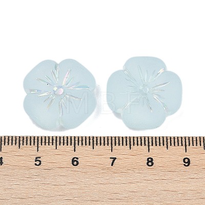 Frosted Transparent Acrylic Beads LS-OACR-P029-19B-06-1