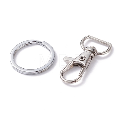 Alloy and Iron Keychain Clasps PALLOY-XCP0001-70-1