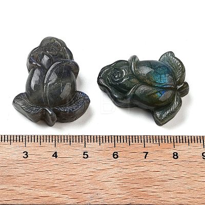 Natural Labradorite Carved Cabochons G-C152-08-1