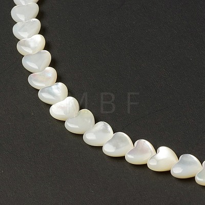 Natural White Shell Mother of Pearl Shell Beads BSHE-B005-10-1