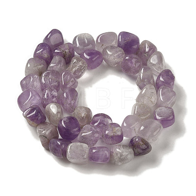 Natural Amethyst Beads Strands G-B078-D12-02-1