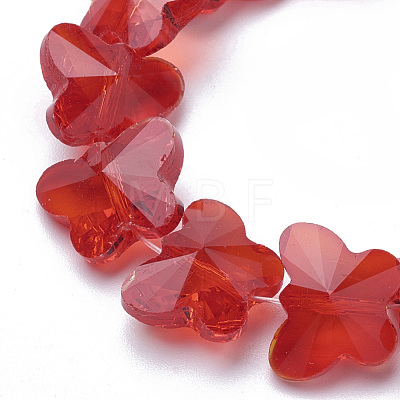 Transparent Glass Beads GLAA-Q066-14mm-B15-1