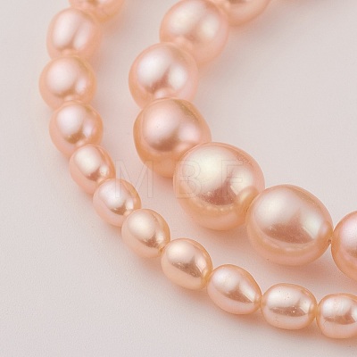 Natural Cultured Freshwater Pearl Graduated Beads Strands PEAR-G007-05B-1