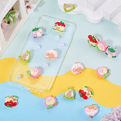 30Pcs Fruit Opaque Resin Decoden Cabochons RESI-TADJ0001-21-1