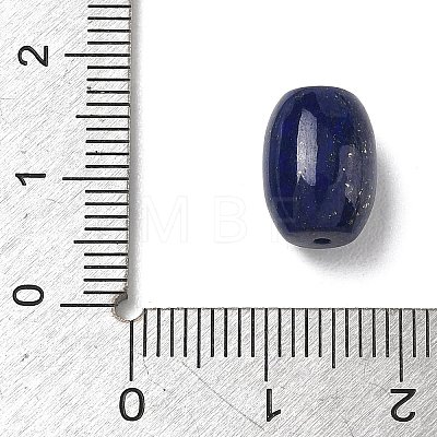 Natural Lapis Lazuli Beads G-T149-01C-1