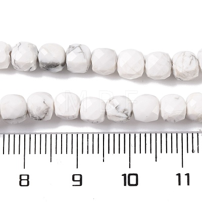 Natural Howlite Beads Strands G-G001-B02-06-1