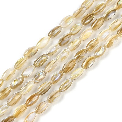 Natural Freshwater Shell Beads Strands X-BSHE-G036-03-1