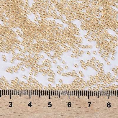 MIYUKI Round Rocailles Beads X-SEED-G009-RR0161-1