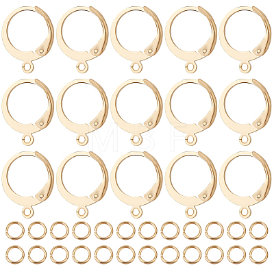 100Pcs 304 Stainless Steel Leverback Earring Findings STAS-BBC0002-68-1