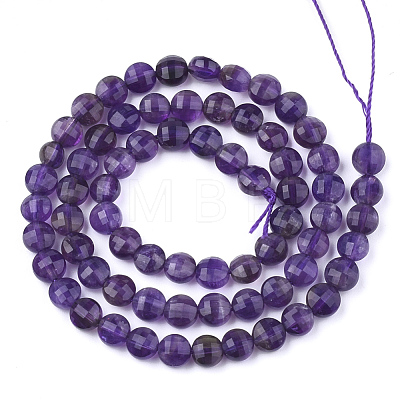 Natural Amethyst Beads Strands G-T108-05-1