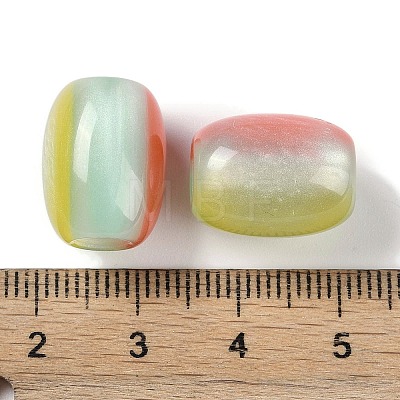 Triple Color Resin European Beads RESI-F055-13B-1