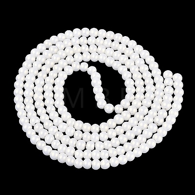 Baking Paint Glass Pearl Beads Strands DGLA-ZX001-05B-01-1